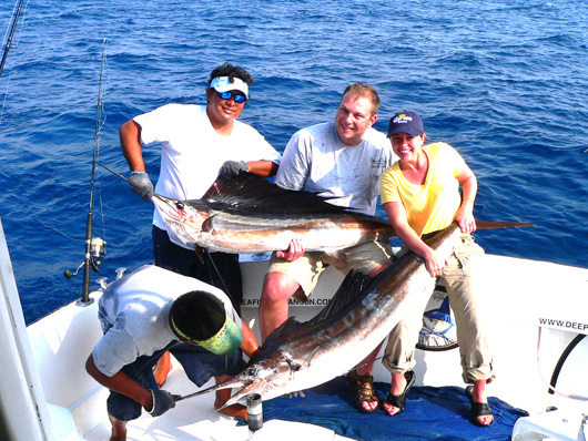 sailfish- cancun sailfish fishing season- isla mujeres sailfishing